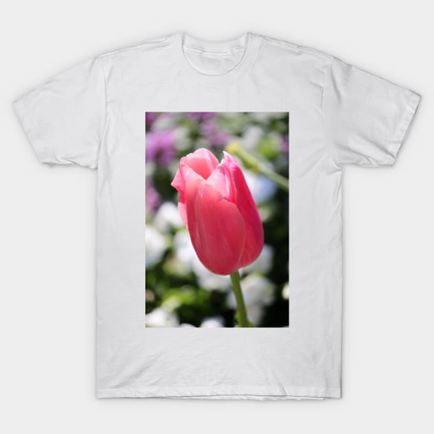 One Soft Pink Tulip T-Shirt by Cynthia48